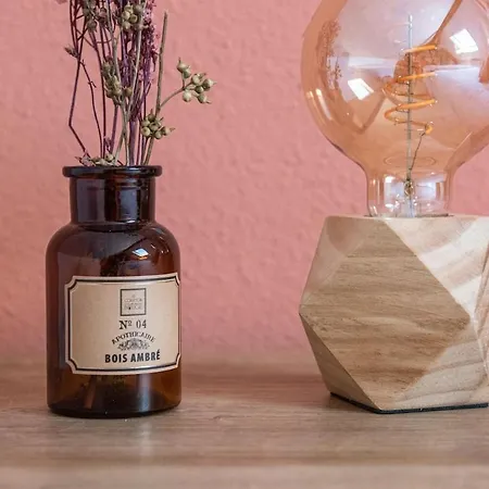 Les Coulisses - Duplex Au Centre - Parking Prive