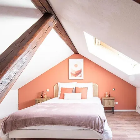 Les Coulisses - Duplex Au Centre - Parking Prive * Colmar