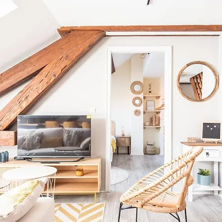 Les Coulisses - Duplex Au Centre - Parking Prive Apartman *